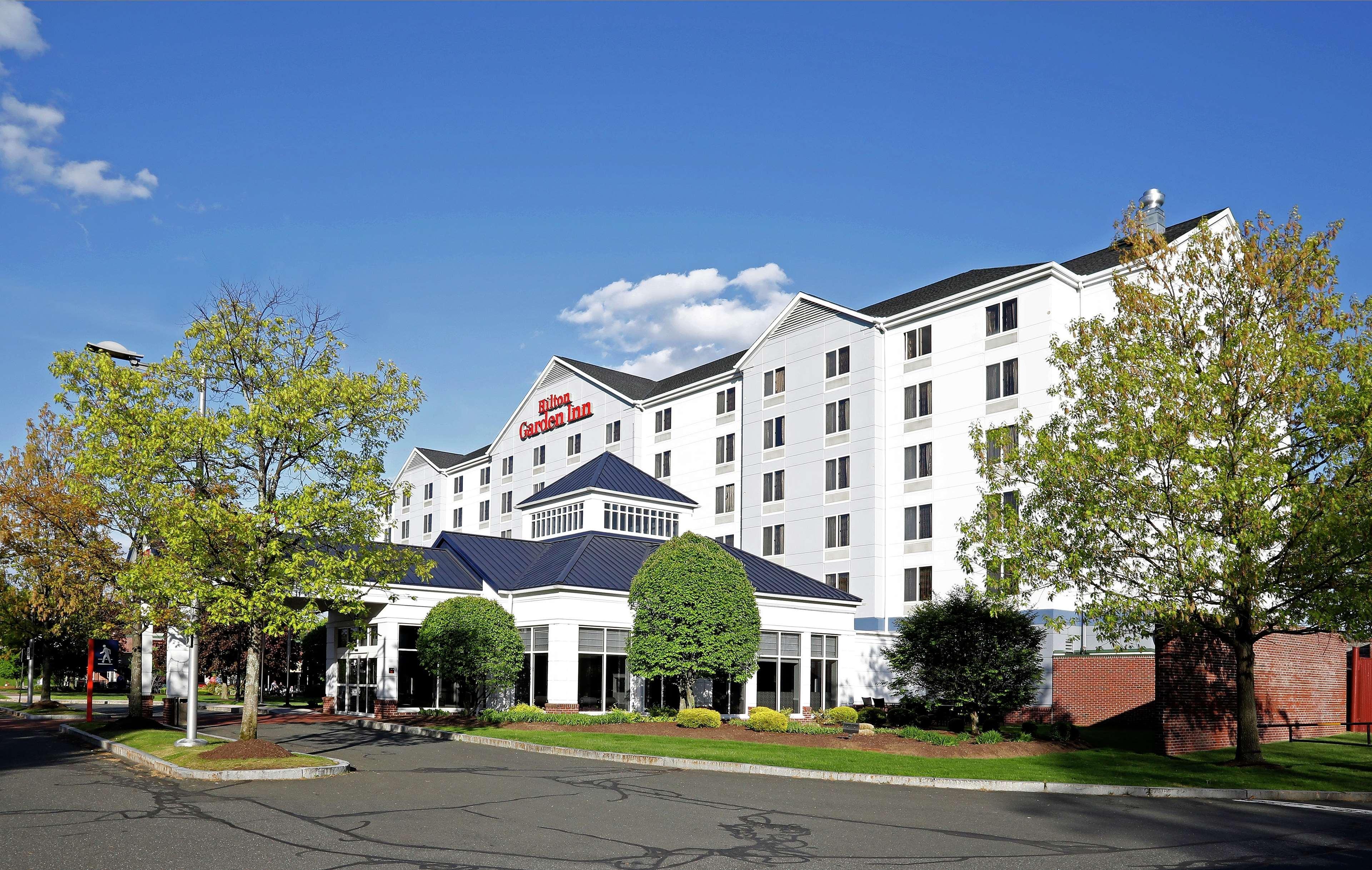 Hilton Garden Inn Springfield, Ma Ngoại thất bức ảnh