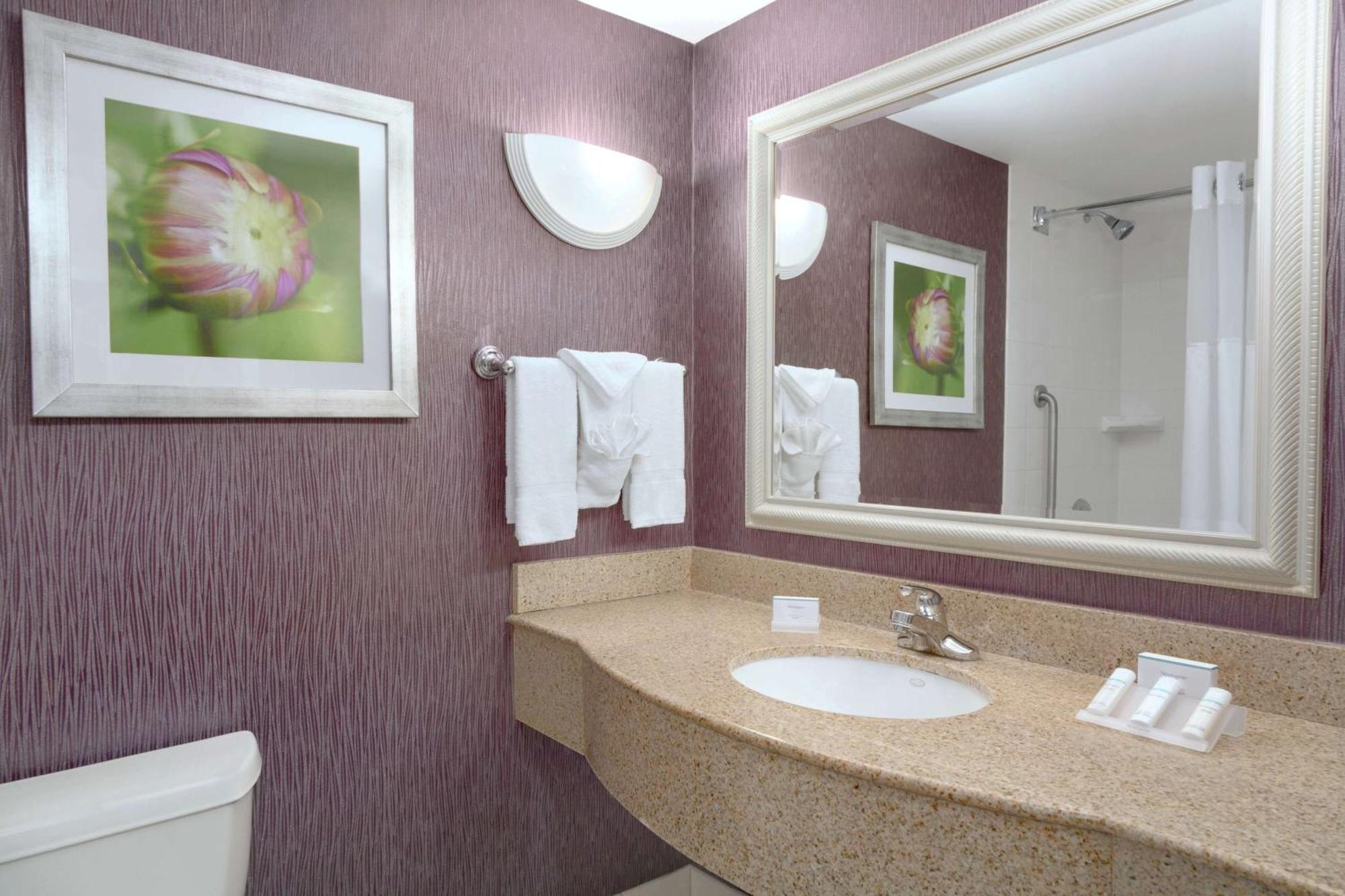Hilton Garden Inn Springfield, Ma Ngoại thất bức ảnh