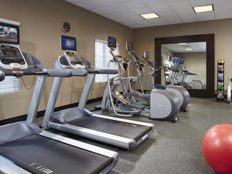 Hilton Garden Inn Springfield, Ma Ngoại thất bức ảnh